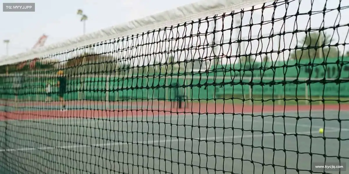 我们的核心竞争力